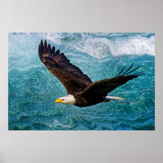 Eagle Soaring boven het Storm Poster (Voorkant)