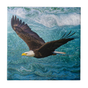 Eagle Soaring boven het Storm Tegeltje