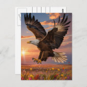 Eagle Soaring Sunset Briefkaart (Voorkant / Achterkant)