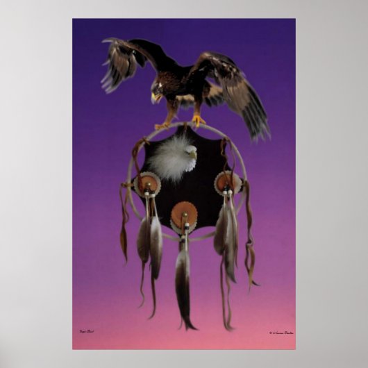 Eagle Spirit Poster (Voorkant)