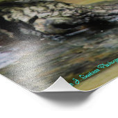 Eagle Spreading Wings Foto Afdruk (Hoek)