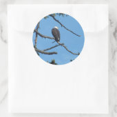 Eagle Sticker (Tas)