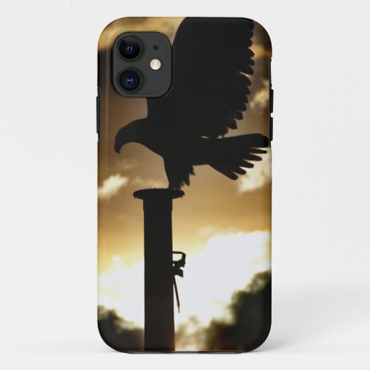 "Eagle Sunset" Kale Eagle Wildlife kunstwerk Case-Mate iPhone Case (Achterkant)