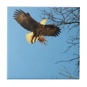 Eagle Sunset Wings Tegeltje
