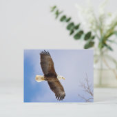 Eagle tijdens de vlucht briefkaart (Staand voorkant)