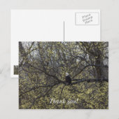 Eagle Uitzicht Schilderachtig Briefkaart (Voorkant / Achterkant)