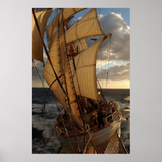 Eagle van het Zee Poster