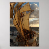 Eagle van het Zee Poster (Voorkant)