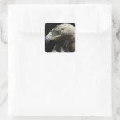 Eagle Vierkante Sticker (Tas)
