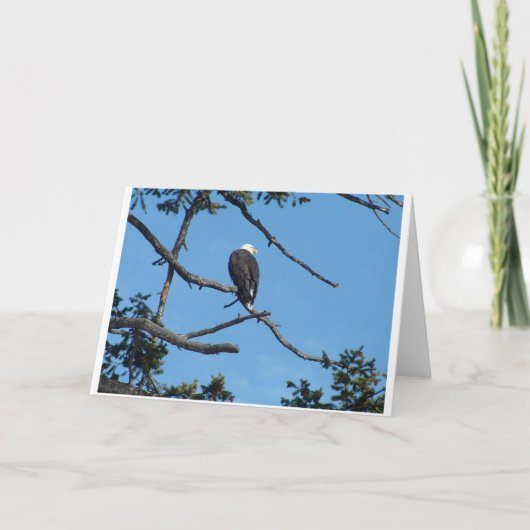 Eagle Wenskaart Kaart (Voorkant)