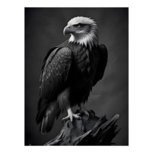 Eagle Wildlife Majestic Natuur Life Wallpaper Perfect Poster