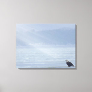 Eagle wildlife natuur kunst canvas afdruk