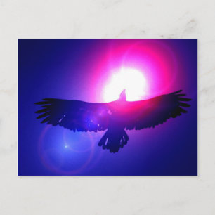 Eagle Wings - Eagle in Flight Briefkaart