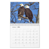 Eagles 2 kalender (Jan 2026)