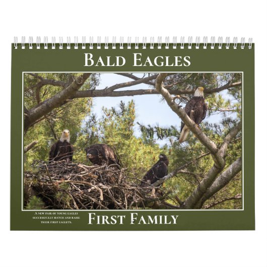 Eagles eerste familie kalender (Hoes)