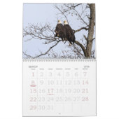 Eagles eerste familie kalender (Mar 2026)
