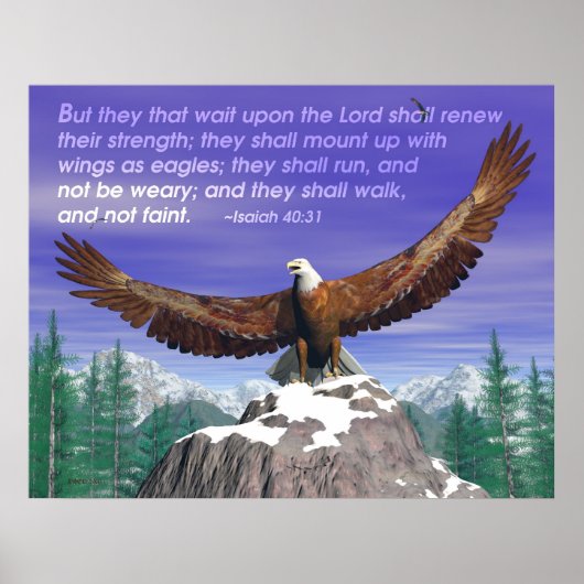 Eagles II Poster (Voorkant)