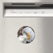 eagles magneet (Insitu (Vaatwasser))