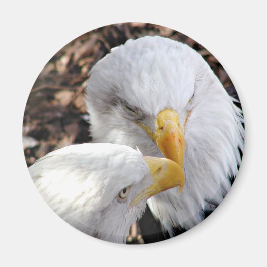 eagles magneet (Voorkant)