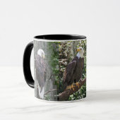 Eagles Mug (Devant gauche)
