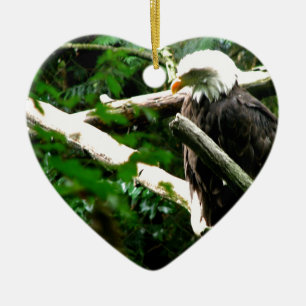 Eagles Nest Keramisch Ornament