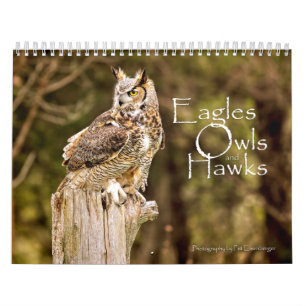 Eagles, Owls and Hawks Wildlife Calendar Kalender