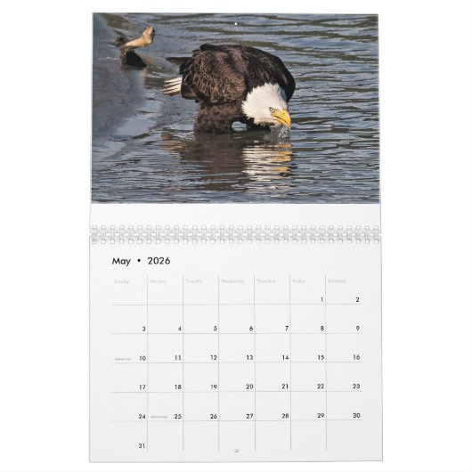 Eagles par le calendrier de Tamara (Mai 2026)