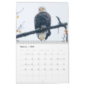 Eagles par le calendrier de Tamara (Feb 2026)