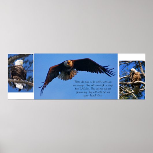 Eagles Poster (Voorkant)