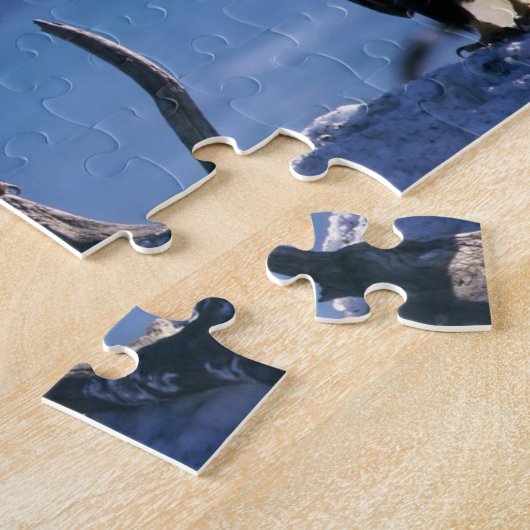 Eagles Puzzle (Côté)