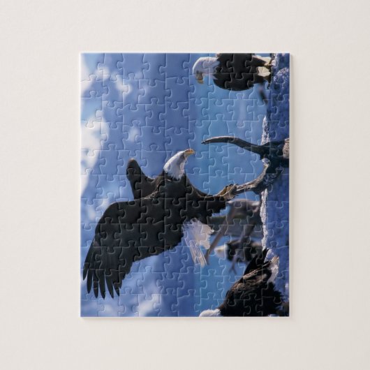 Eagles Puzzle (Vertical)