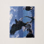 Eagles Puzzle Legpuzzel (Verticaal)