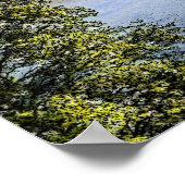 Eagles Scioto River Columbus Ohio Afdrukken Poster (Hoek)