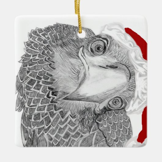 Eaglet E9 zegt: Wie is dat? kerstversiering Keramisch Ornament (Voorkant)