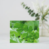 Eak Leaves Briefkaart (Staand voorkant)