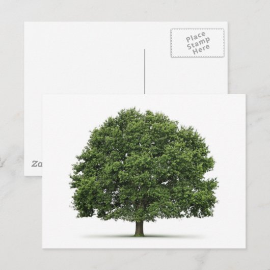 Eak-structuur Briefkaart (Voorkant / Achterkant)