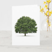 Eak-structuur Kaart (Gele Bloem)