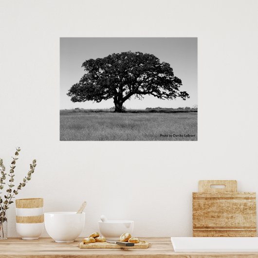 Eak-structuur Poster (Keuken)