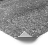 Eak-structuur Poster (Hoek)