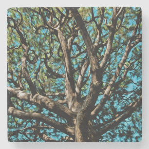 Eak-structuur Stenen Onderzetter