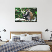 Ear Tagged Samango Monkey Canvas Afdruk (Insitu (Slaapkamer))