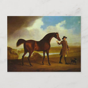 Earl Grosvenor's Bandy van George Stubbs Briefkaart