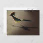 Early Bird, carte postale (Devant / Derrière)