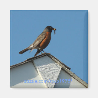 Early Bird Magneet
