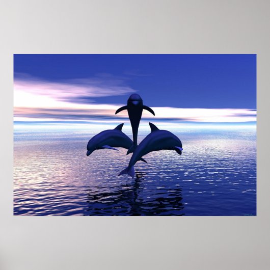 Early Morning Dolphins Poster (Voorkant)