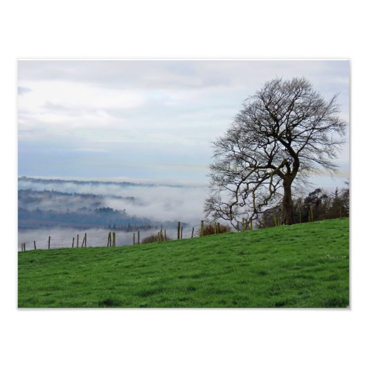 Early Morning Fog Foto Afdruk (Voorkant)