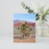 Early Morning Light in Red Rock Canyon Briefkaart (Staand voorkant)