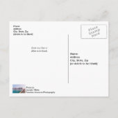 Early Navarre Beach Florida Vist Briefkaart (Achterkant)