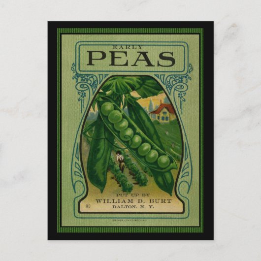 Early Peas  Seed Packet Briefkaart (Voorkant)