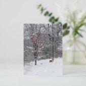 Early Snow: Corgi Postcard Briefkaart (Staand voorkant)